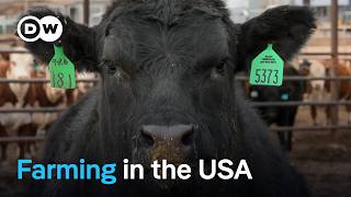 Exploring the Dark Side of Agribusiness in America: Profit, Productivity, and Environmental Challenges